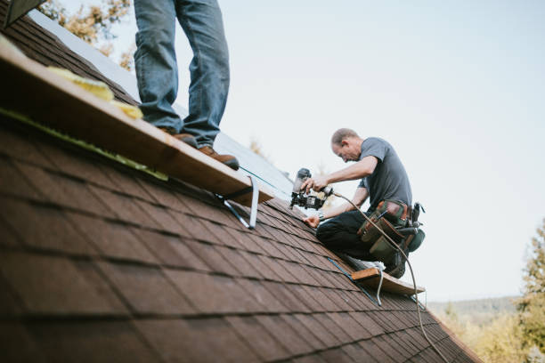 Best Roof Repair Services  in Tazewell, VA