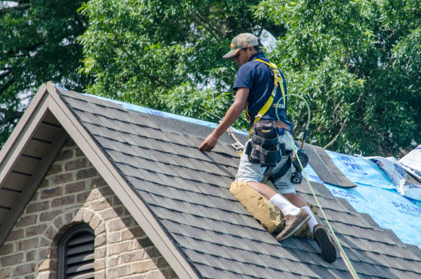 Best Gutter Installation and Roofing  in Tazewell, VA